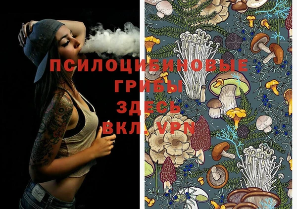 марки lsd Балахна