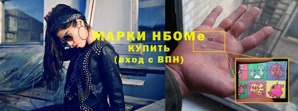гашик Няндома