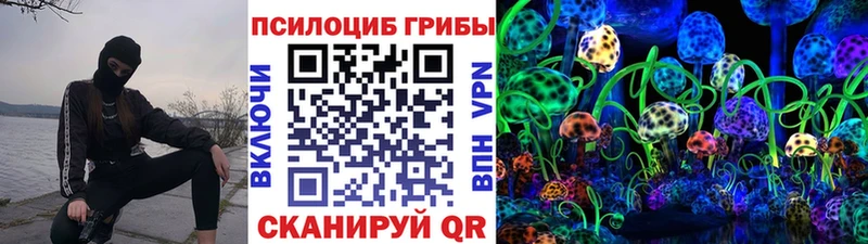кракен зеркало  хочу наркоту  Рудня  Галлюциногенные грибы Magic Shrooms 